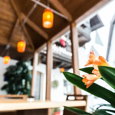 Hotel-pension Hoferhaus 3* Neukirchen am Großvenediger